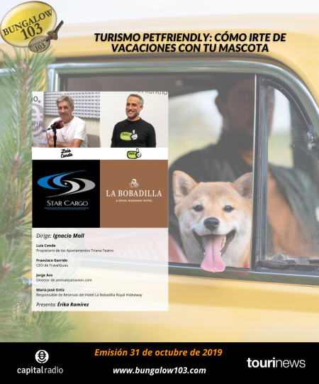 TURISMO PETFRIENDLY CÓMO IRTE DE VACACIONES CON TU MASCOTA