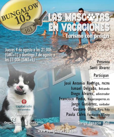 LAS MASCOTAS EN VACACIONES: TURISMO CON PEDIGRÍ